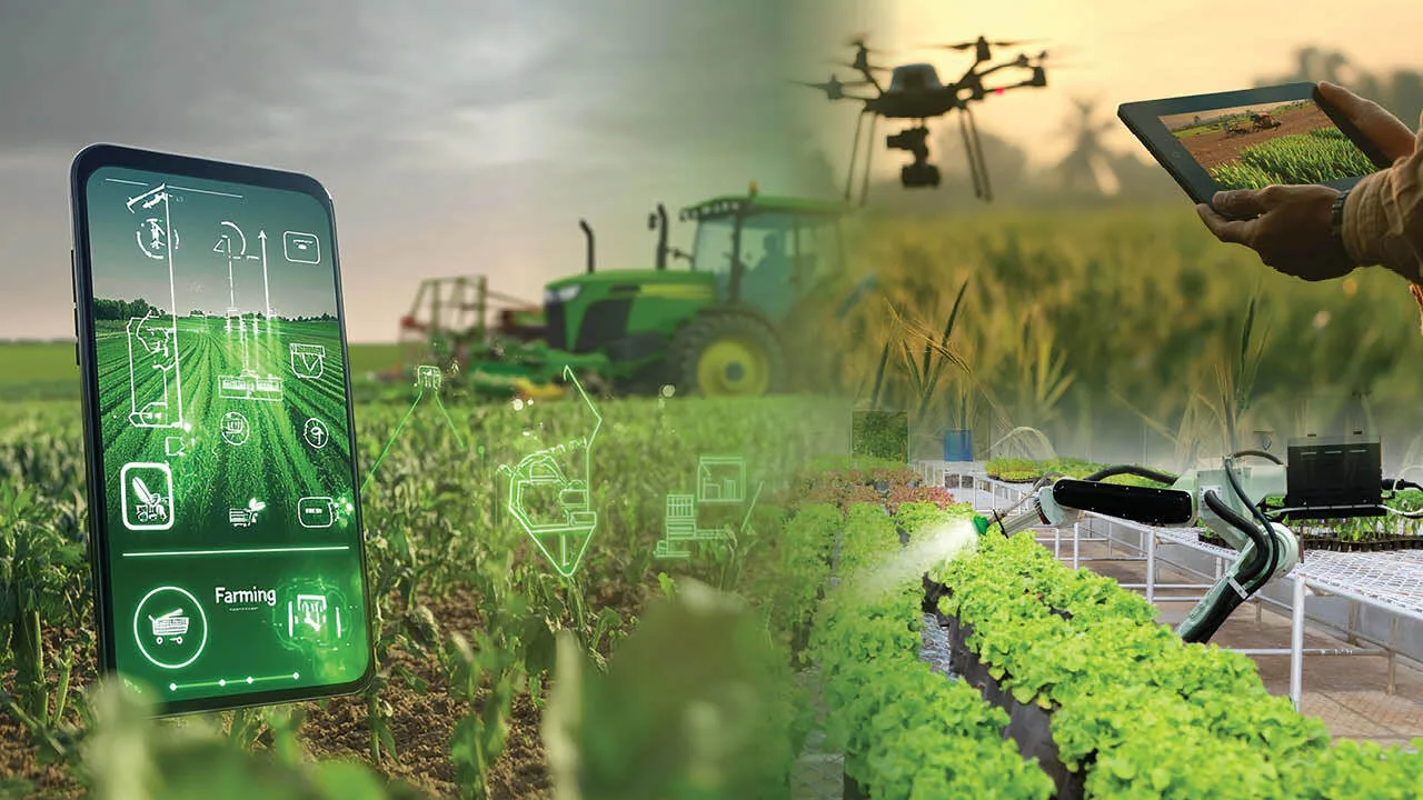 Beautiful Farm Landscape